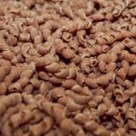 paste fresche speciali 3