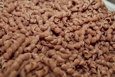 paste fresche speciali 3