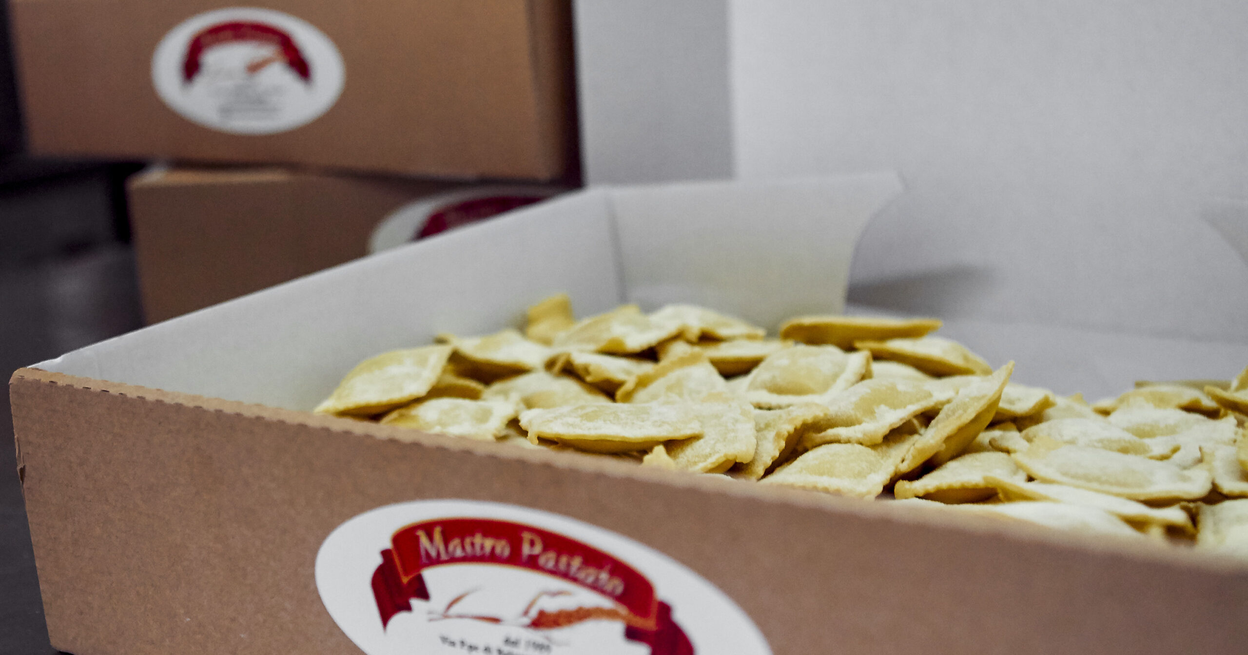 MG 0827 scaled MG 0827 scaled