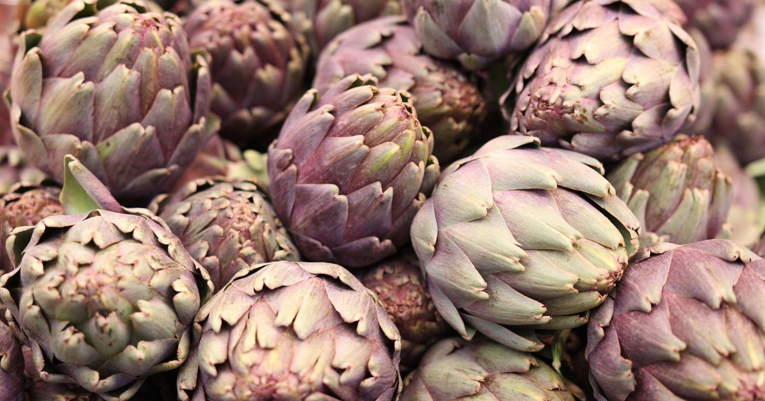 pexels tal 6472257 pexels tal 6472257