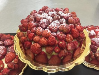 WhatsApp Image 2022 05 26 at 15.55.41 1 WhatsApp Image 2022 05 26 at 15.55.41 1