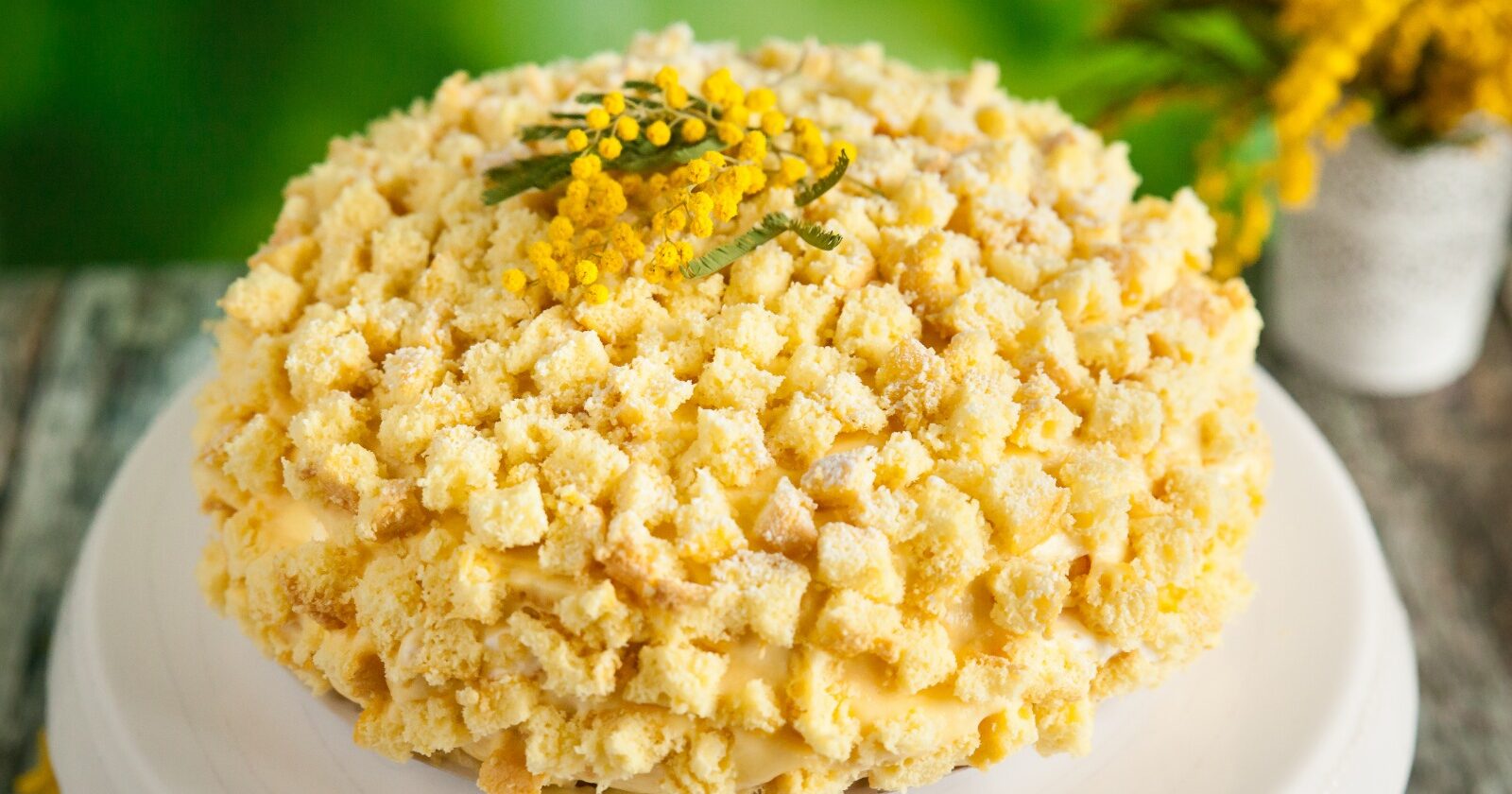torta mimosa torta mimosa